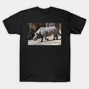 Black Rhino T-Shirt